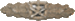 Nahkampf spange bronze (1)